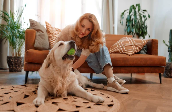 Beautiful Woman Playing Ball Her Labrador Dog Sitting Sofa Living — Stock Photo, Image