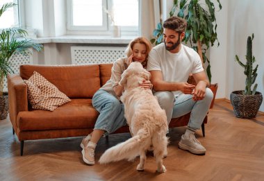 Genç çift evcil labrador köpeklerine sarılıp oynuyorlar, evdeki kanepede otururken ödül veriyorlar, birlikte eğleniyorlar..