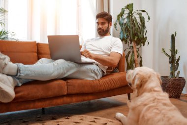 Yakışıklı sakallı adam dizüstü bilgisayarla kanepede oturuyor. Labrador köpeği yerde yatarken serbest çalışıyor, alışveriş yapıyor ya da evdeki oturma odasında sohbet ediyor..