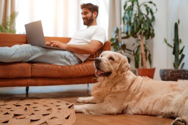 Yakışıklı sakallı adam dizüstü bilgisayarla kanepede oturuyor. Labrador köpeği yerde yatarken serbest çalışıyor, alışveriş yapıyor ya da evdeki oturma odasında sohbet ediyor..
