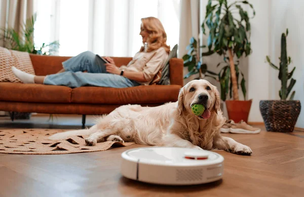 A beautiful blonde woman is sitting on a sofa with a tablet in the living room at home along with a labrador dog, in the foreground a robot vacuum cleaner cleans the house.