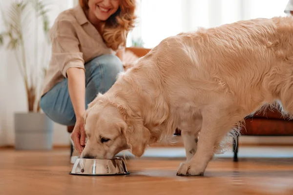 Hora Comer Una Mujer Adulta Trajo Tazón Comida Mascota Perro — Foto de Stock