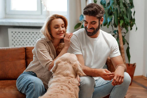 Young couple playing and hugging their pet labrador dog, giving treats while sitting on the sofa in the living room at home, having fun together.