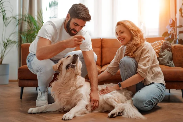 Young couple playing and hugging their pet labrador dog, giving treats, sitting on the floor in the living room at home, having fun together.