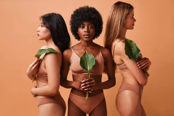 African-American, Asian and Caucasian women in beige lingerie holding a green leaf posing on beige background. The concept of skin care, cosmetology and spa treatments.