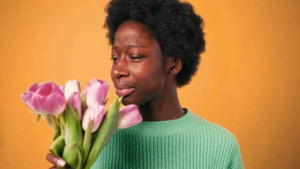 身穿毛衣 头戴郁金香花束 打喷嚏的美籍黑人妇女 患有与橙色背景隔离的过敏症 妇女日 — 图库视频影像