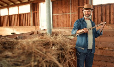Çiftlikteki bir ahırda çiftlik hayvanlarını beslemek için yabayla saman toplayan şapkalı, olgun bir erkek çiftçi. Çiftçilik ve tarım kavramı.