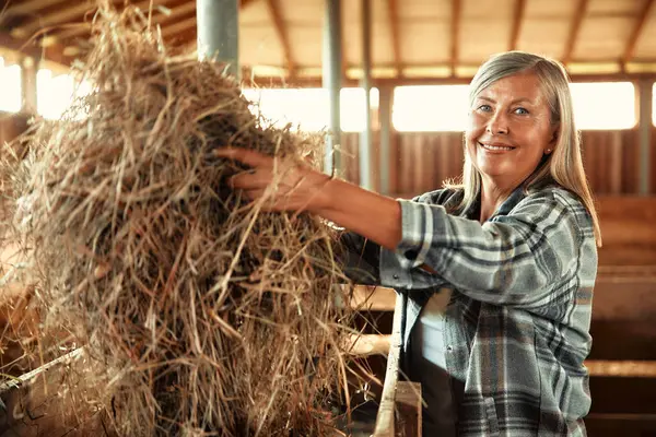Madura Hermosa Mujer Agricultora Recogiendo Heno Para Alimentar Ganado Granero — Foto de Stock