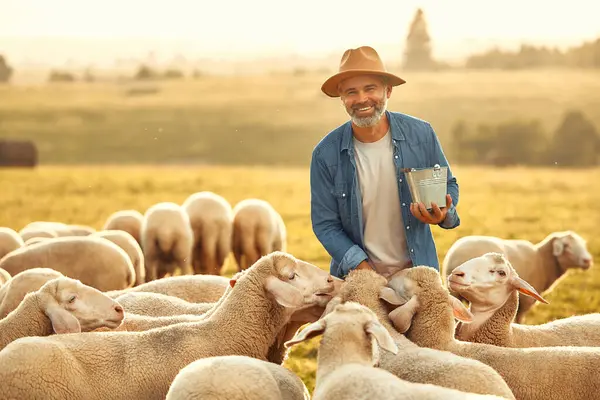 Agricoltore Maschio Maturo Bello Con Cappello Offre Prelibatezze Gregge Pecore — Foto Stock