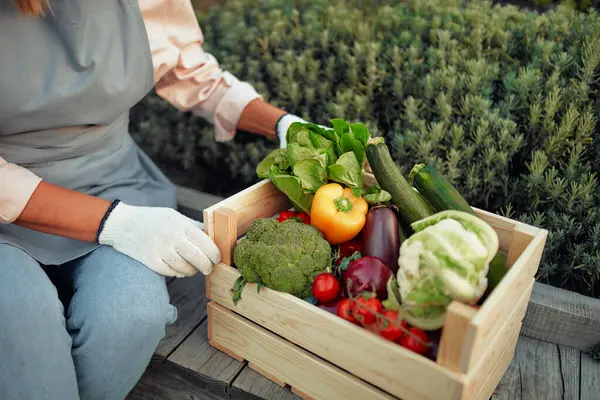 収穫された野菜の木箱とベンチに座っているエプロンの成熟した美しい女性農家 農業と農業のコンセプト — ストック写真