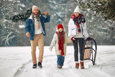 Mutlu Noeller ve mutlu yıllar. Bir çocuğu, bir kızağı ve bir köpeği olan mutlu bir aile, tatil hazırlıkları için karlı bir patika boyunca ormandan bir Noel ağacı taşır..