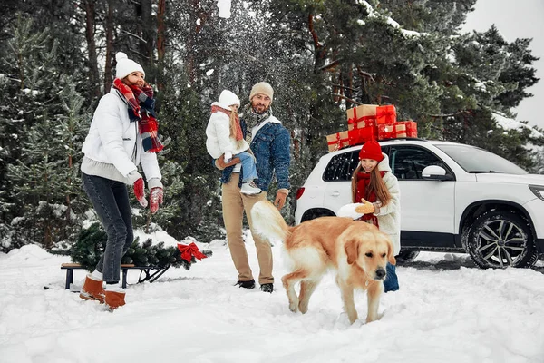 Mutlu Noeller ve mutlu yıllar. Çocuklu bir aile ve hediyelerle dolu bir arabanın yanında duran bir köpek, kızakta duran bir Noel ağacı, karlı bir havada bir ormanın zemininde duran.