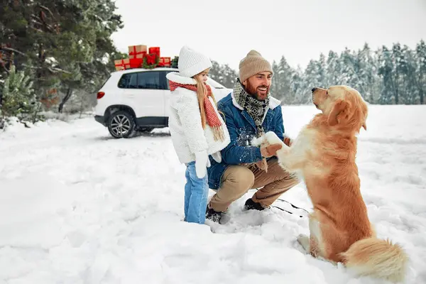 Mutlu Noeller ve yeni yıl. Mutlu baba ve çocuk köpekleriyle oynuyorlar, hediyelerle dolu bir arabanın yanında duruyorlar, karlı bir havada ormanın arka planına karşı, bir Noel ağacı almaya gidiyorlar..