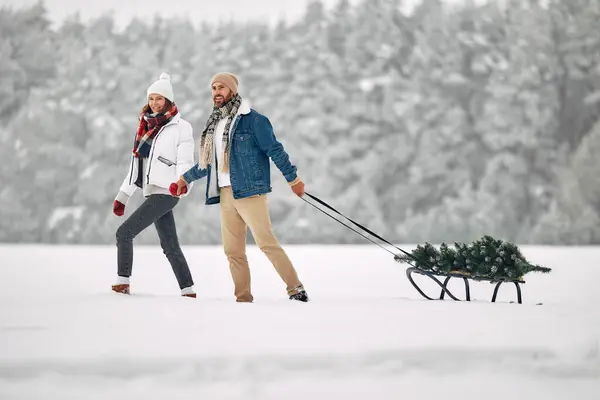 メリークリスマスとハッピーニューイヤー 幸せなカップルは雪の天気の森の背景に対して眠りにクリスマスツリーを運んでいる 休日の準備 — ストック写真