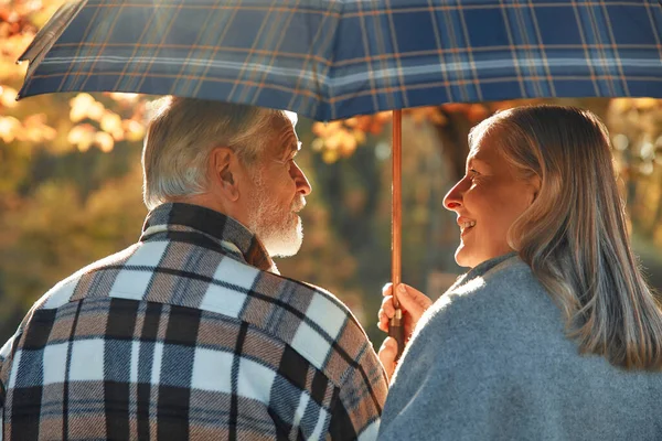 Senior beautiful gray-haired couple under an umbrella walking in a park in golden autumn.