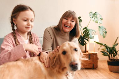 Şirin torunuyla oynayan ve köpekle sıcak oturma odasında eğlenen büyük anne, birlikte iyi vakit geçiriyorlar..