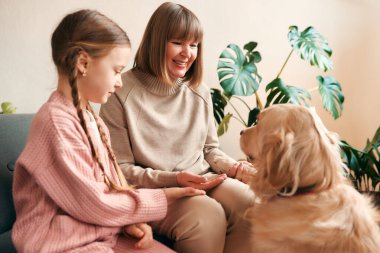 Şirin torunuyla oynayan ve köpekle sıcak oturma odasında eğlenen büyük anne, birlikte iyi vakit geçiriyorlar..