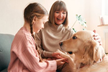 Şirin torunuyla oynayan ve köpekle sıcak oturma odasında eğlenen büyük anne, birlikte iyi vakit geçiriyorlar..