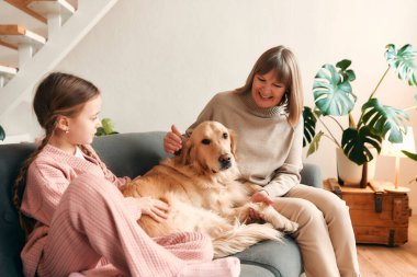 Şirin torunuyla oynayan ve köpekle sıcak oturma odasında eğlenen büyük anne, birlikte iyi vakit geçiriyorlar..