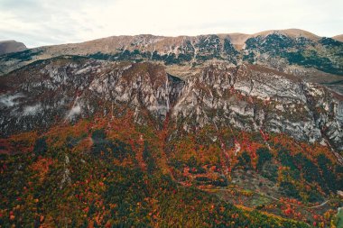 Bir güz bitkisi topluluğunun hava görüntüsü bir dağı özel bir ekosistem ile kaplıyor, bulutlar doğal manzara ve çimenli yamaçların üzerinde süzülüyor.