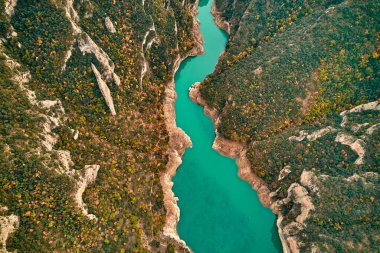 Ağaçlarla çevrili bir kanyondan akan bir nehrin havadan görünüşü, akışkan bir akarsuda doğal manzara ve su kaynaklarını sergiliyor.