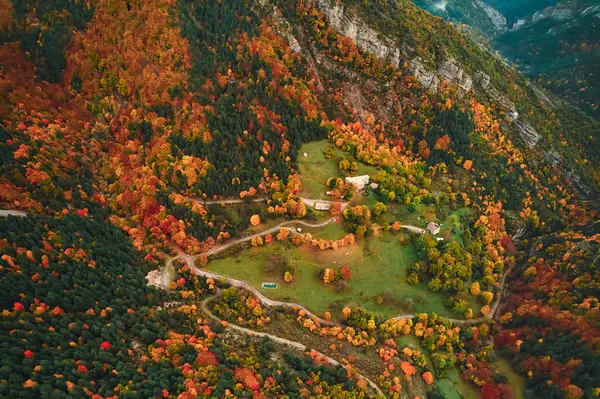 Aerial View Temperate Broadleaf Mixed Forest Autumn Deciduous Trees Changing — Stock Photo, Image