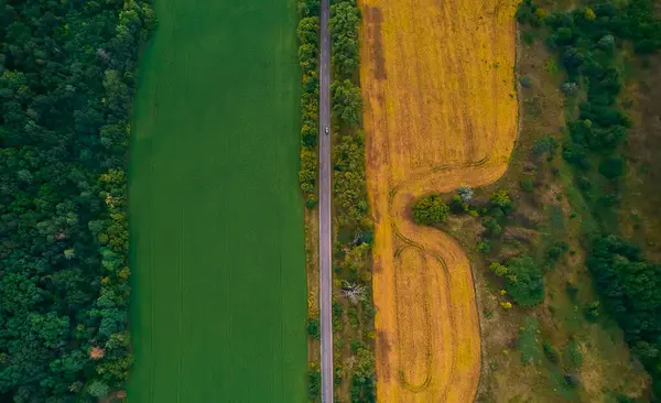 Aerial top view from a drone on a road through fields and forest. Car driving on the road near the farmland.