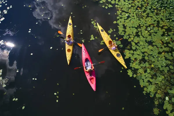 Nehirdeki nilüferlerin arasında kayak yapan üç turistin hava aracı görüntüsü. Turizm ve dinlenme.