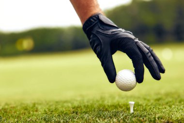 Yetenekli bir golfçü, siyah bir eldiven takıyor, zarif bir şekilde, sahnenin güzelliğini arttıran şaşırtıcı derecede bulanık yeşil bir zemin ile çevrili, el değmemiş beyaz bir golf topunu yerinden kaldırıyor.