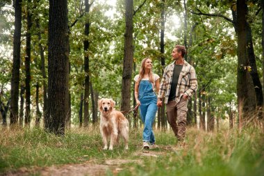 Güneşli bir günde, neşeli bir çift, neşeli Golden Retriever köpekleri ile canlı yeşil bir arazide el ele yürür. Huzur ve mutlulukla dolu huzurlu bir atmosfer yaratırlar.