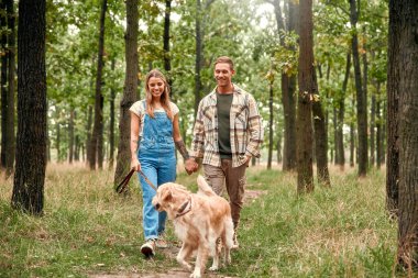 Neşeli bir çift, sakin bir ormanda el ele dolaşır. Doğanın güzelliğinden keyif alır. Oyuncak Golden Retriever 'larıyla birlikte.