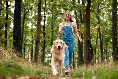 Tulum giymiş neşeli bir kadın, güzel bir orman yolunda yürüyor. Golden Retriever 'ında mutlu bir şekilde yürüyor. Gerçek neşe, arkadaşlık, doğa ve açık havaya olan aşkı temsil ediyor.