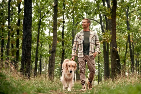Sadık golden retriever 'ı eşliğinde yemyeşil ve yemyeşil ormanda rahatça gezinen bir adam yolculuklarında hem doğanın güzelliğinin hem de refakatinin tadını çıkarır.