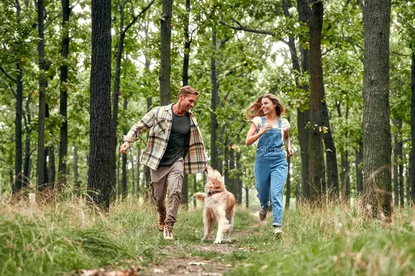 Neşeli ve mutlu bir çift coşkuyla neşeli, canlı, yemyeşil bir ormanda sevgili köpekleri eşliğinde koşar. Doğada değerli bir mutluluk ve bağ anını yakalar.