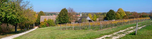 Panoramatický Výhled Podzimní Zemědělskou Krajinu Regionu Vinařská Čtvrť Weinviertel Rakousku — Stock fotografie