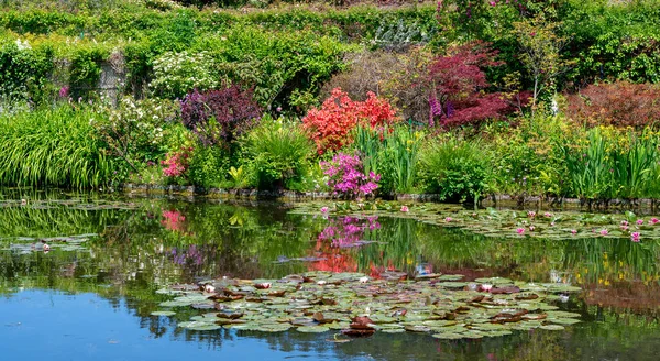 Vatten Lilja Damm Med Blomstrande Växter Den Tidigare Trädgården Konstnären — Stockfoto
