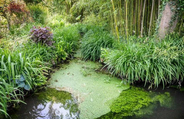 Damm Före Detta Vatten Trädgård Konstnären Claude Monet Byn Giverny — Stockfoto