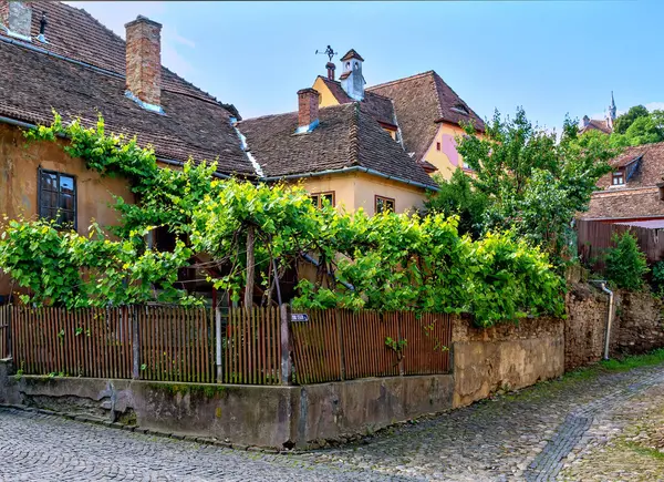 stock image Old house with vineyard at the castell of Sighisoara (Schaesburg) in Transsylvania, Romania