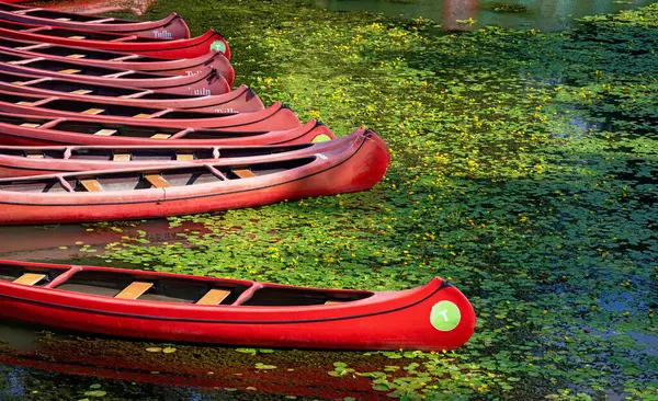 stock image  red canoes with the logo of the town Tulln on a water surfae with yellow pond lilies at the waterpark, Austria