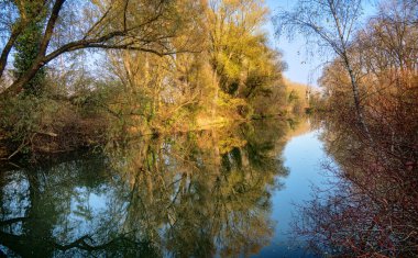 Suyu akan nehir ormanı ve renkli sonbahar renklerinde ağaçlar Avusturya 'nın Tulln kentindeki suyun pürüzsüz yüzeyinde yansıyor.