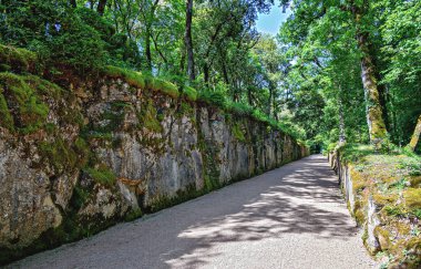 Fransa 'nın Perigord kentindeki Marqueyssac bahçesinde taş duvarlarla çevrili düz bir çakıl yolu boyunca bakın.