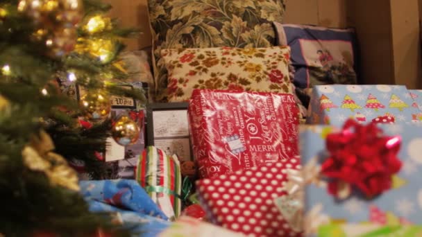 Cadeaux Sous Sapin Noël — Video
