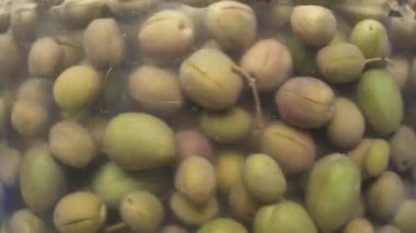 Petrol ve baharatlı zeytin üretimi için fabrikadaki zeytinlerin işlenmesi.
