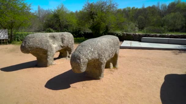 Megalityczna Prehistoryczna Rzeźba Kamienia 2000 Lat Znana Jako Toros Guisando — Wideo stockowe