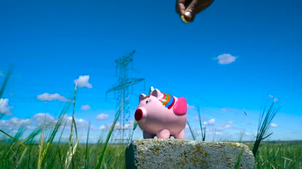 Der Strompreis Eine Hand Wirft Münzen Ein Sparschwein Inmitten Eines — Stockvideo