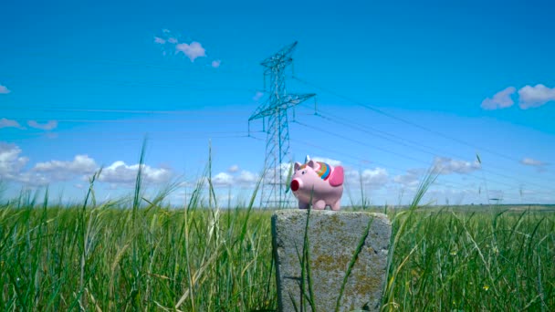 Preço Electricidade Uma Mão Jogando Moedas Banco Porquinho Meio Campo — Vídeo de Stock