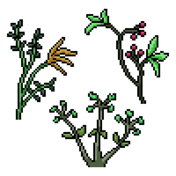 Пиксельное Искусство Растения Натуральных Трав — стоковый вектор
