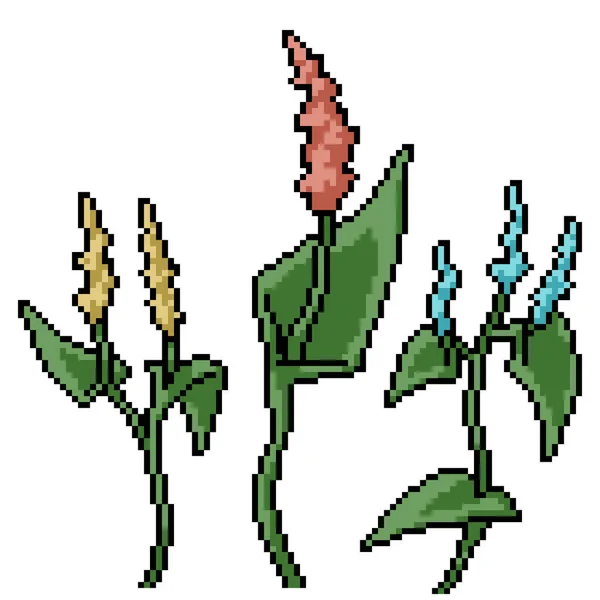 Pixelkonst Naturliga Örtväxter — Stock vektor