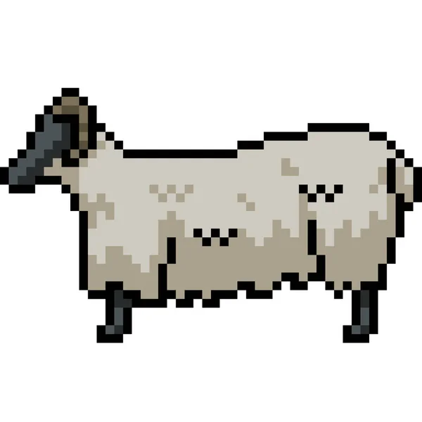 Sztuka Pikseli Strony Białych Owiec — Wektor stockowy