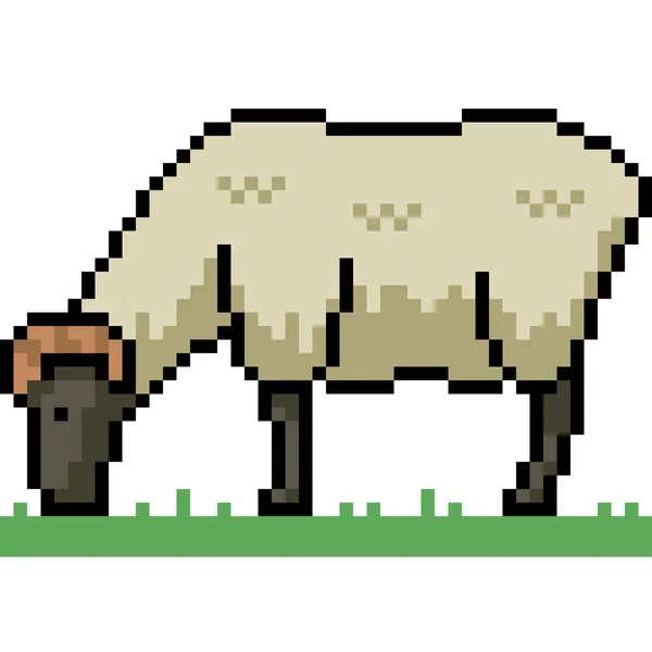 羊のピクセルアートは草を食べ — ストックベクタ